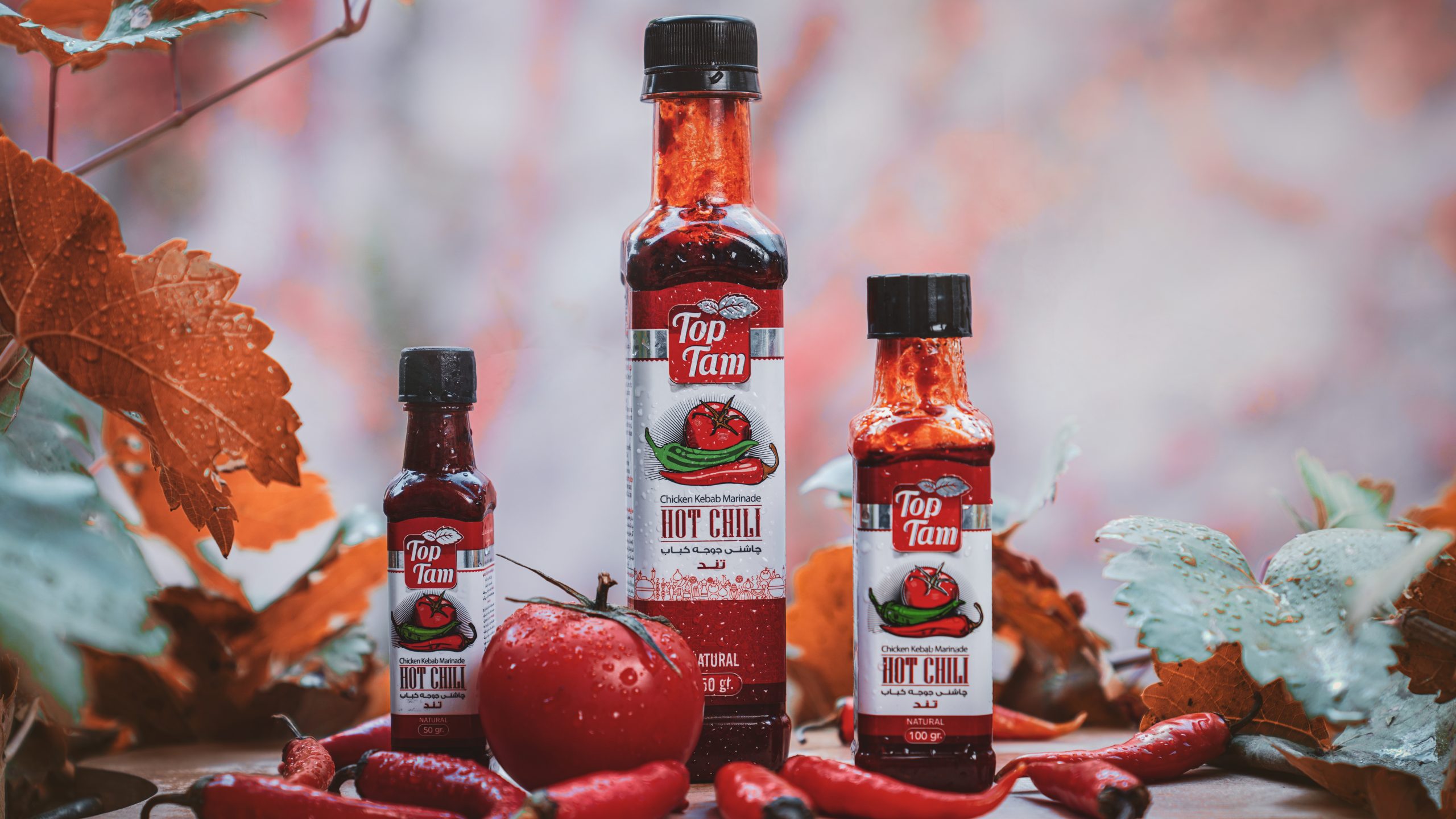 خرید عمده چاشنی کباب